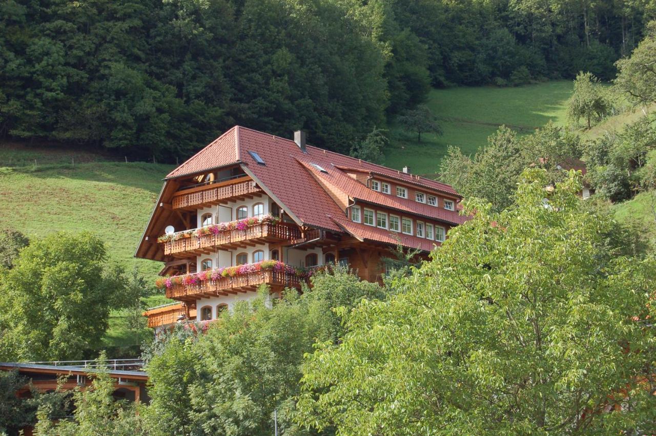 Ehrenmaettlehof Faisst Aparthotel Bad Peterstal-Griesbach Buitenkant foto