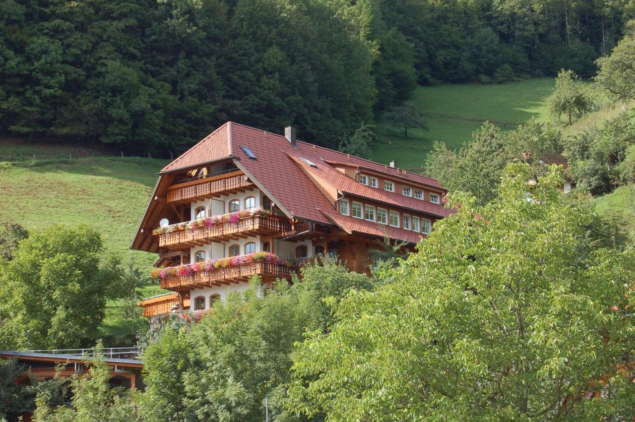 Ehrenmattlehof Faisst Aparthotel Bad Peterstal-Griesbach Buitenkant foto