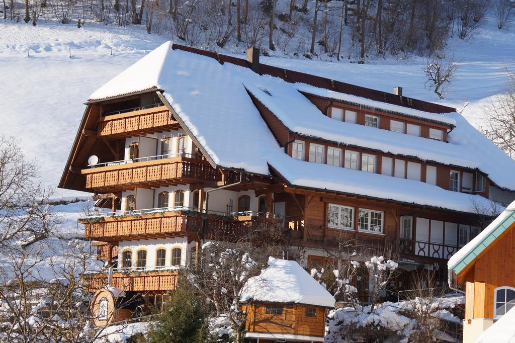 Ehrenmattlehof Faisst Aparthotel Bad Peterstal-Griesbach Buitenkant foto