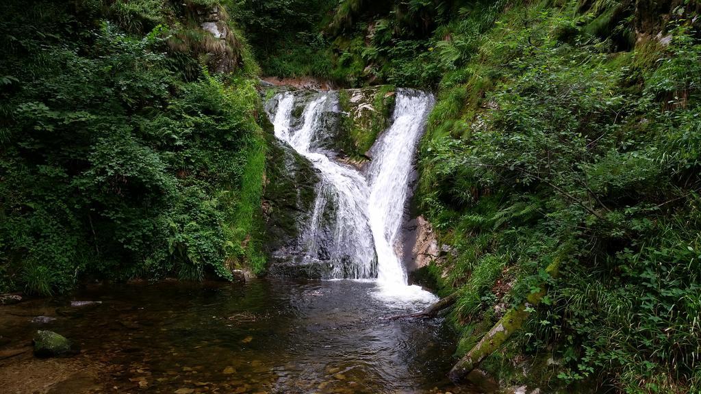 Ehrenmaettlehof Faisst Aparthotel Bad Peterstal-Griesbach Buitenkant foto