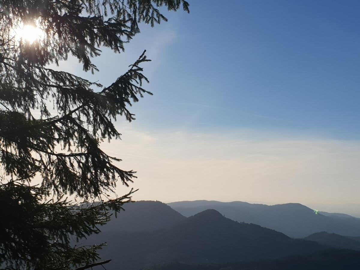 Ehrenmattlehof Faisst Aparthotel Bad Peterstal-Griesbach Buitenkant foto