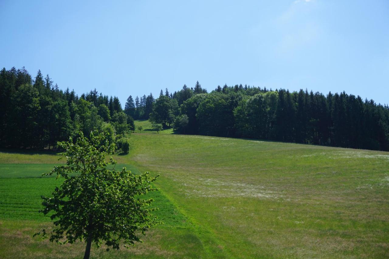 Ehrenmattlehof Faisst Aparthotel Bad Peterstal-Griesbach Buitenkant foto