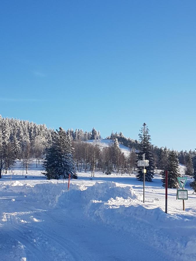 Ehrenmattlehof Faisst Aparthotel Bad Peterstal-Griesbach Buitenkant foto