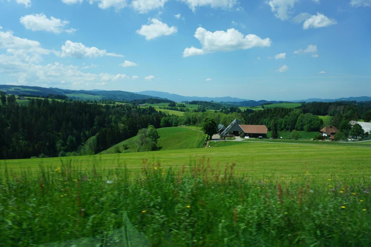 Ehrenmattlehof Faisst Aparthotel Bad Peterstal-Griesbach Buitenkant foto