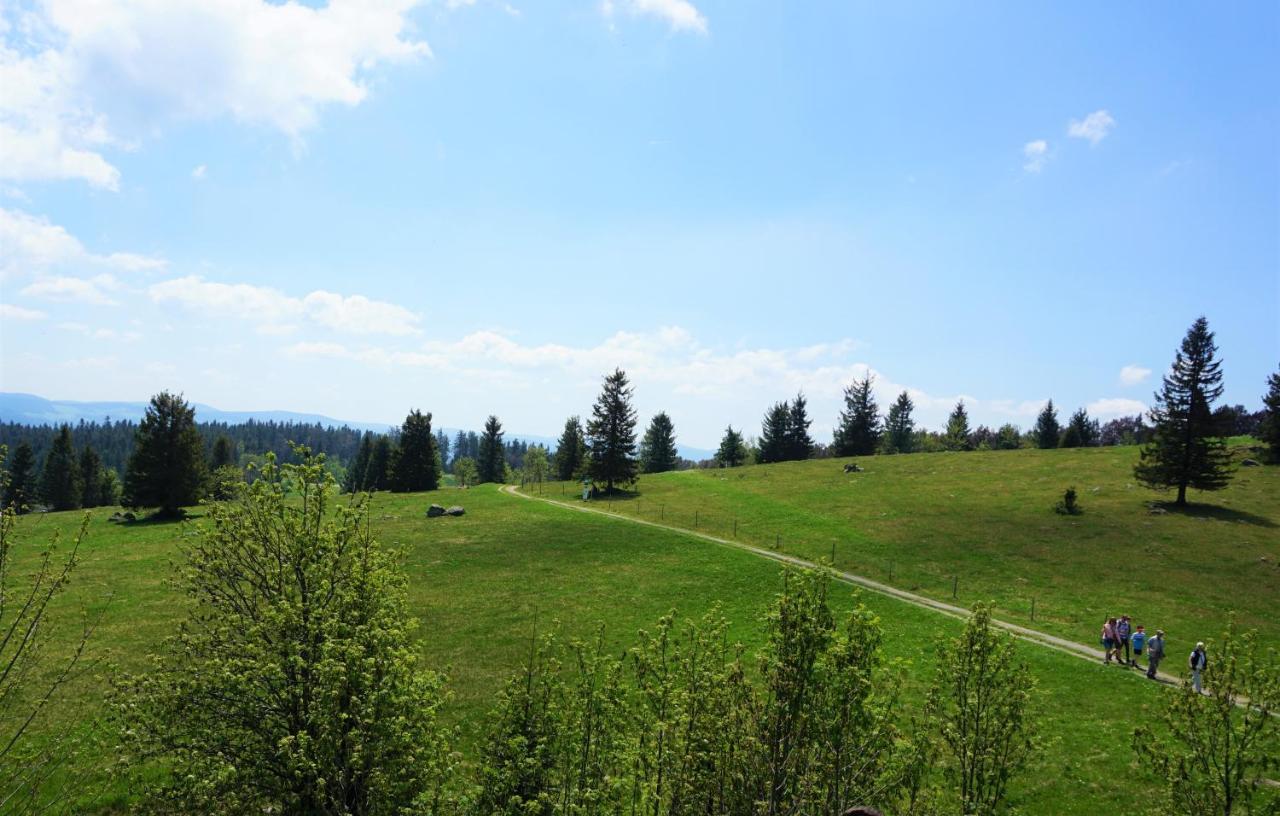 Ehrenmaettlehof Faisst Aparthotel Bad Peterstal-Griesbach Buitenkant foto
