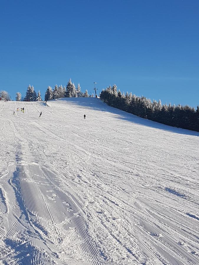 Ehrenmattlehof Faisst Aparthotel Bad Peterstal-Griesbach Buitenkant foto