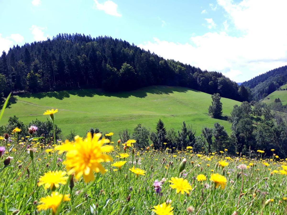 Ehrenmaettlehof Faisst Aparthotel Bad Peterstal-Griesbach Buitenkant foto