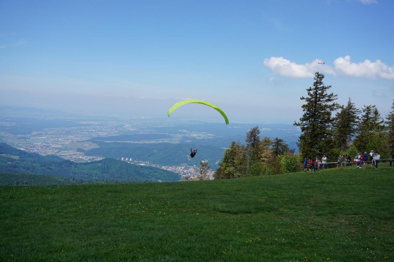 Ehrenmattlehof Faisst Aparthotel Bad Peterstal-Griesbach Buitenkant foto