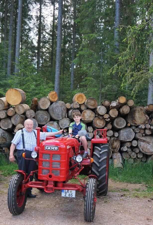 Ehrenmattlehof Faisst Aparthotel Bad Peterstal-Griesbach Buitenkant foto